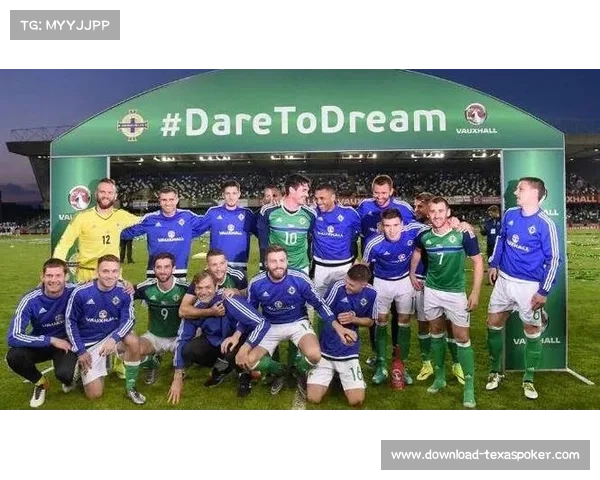 德国3-1力克北爱尔兰 格纳布里阿米里维尔茨各入一球助球队取胜